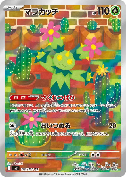101/100 Maractus