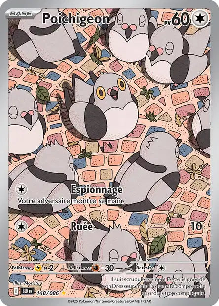 148/086 Poichigeon