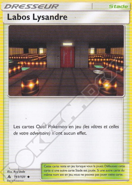 111/131 Labos Lysandre
