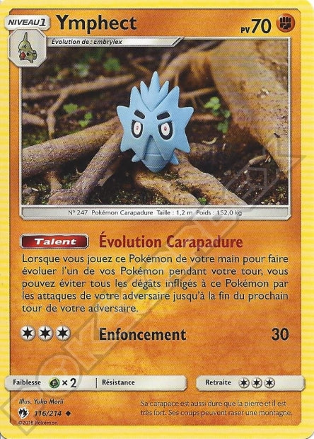 116/214 Ymphect