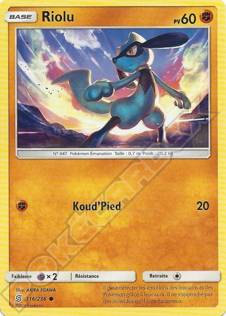 116/236 Riolu