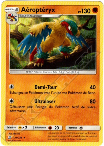 121/236 Aéroptéryx