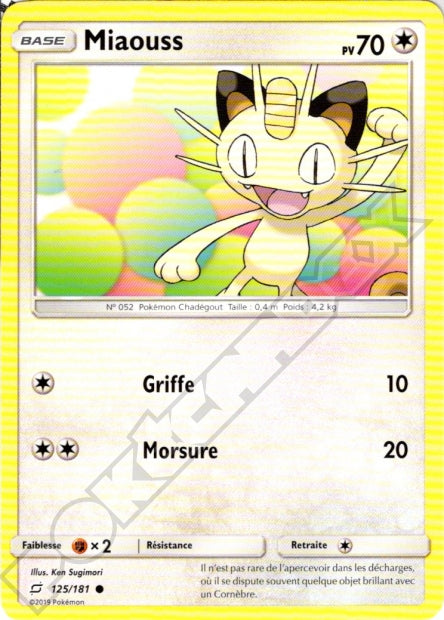 125/181 Miaouss