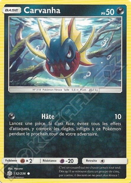132/236 Carvanha
