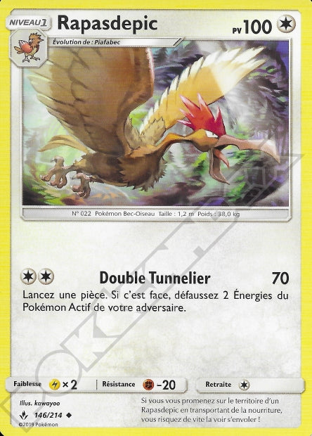 146/214 Rapasdepic