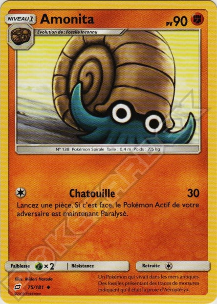 075/181 Amonita