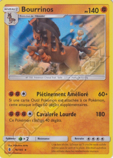 076/145 Bourrinos