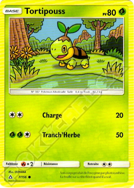 007/156 Tortipouss