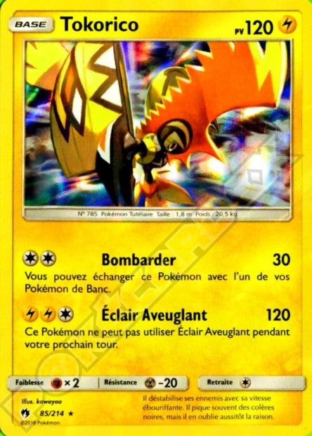 085/214 Tokorico