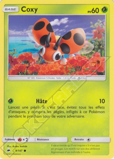009/147 Coxy