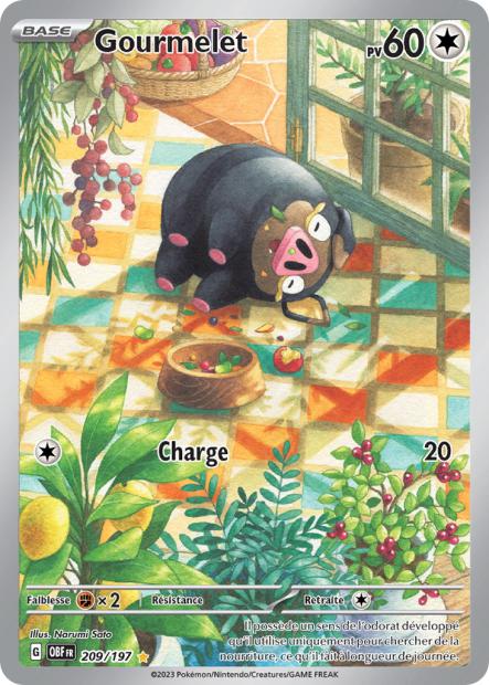 209/197 Gourmelet