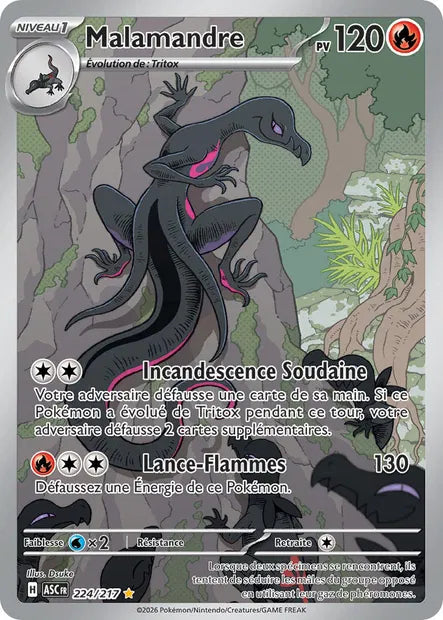 224/217 Malamandre