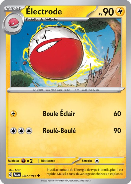 067/193 Électrode