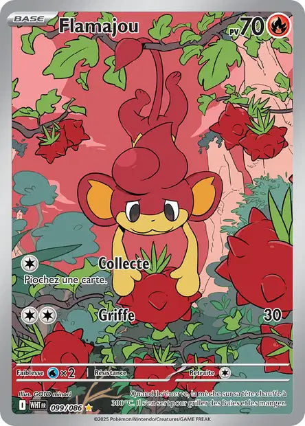 099/086 Flamajou