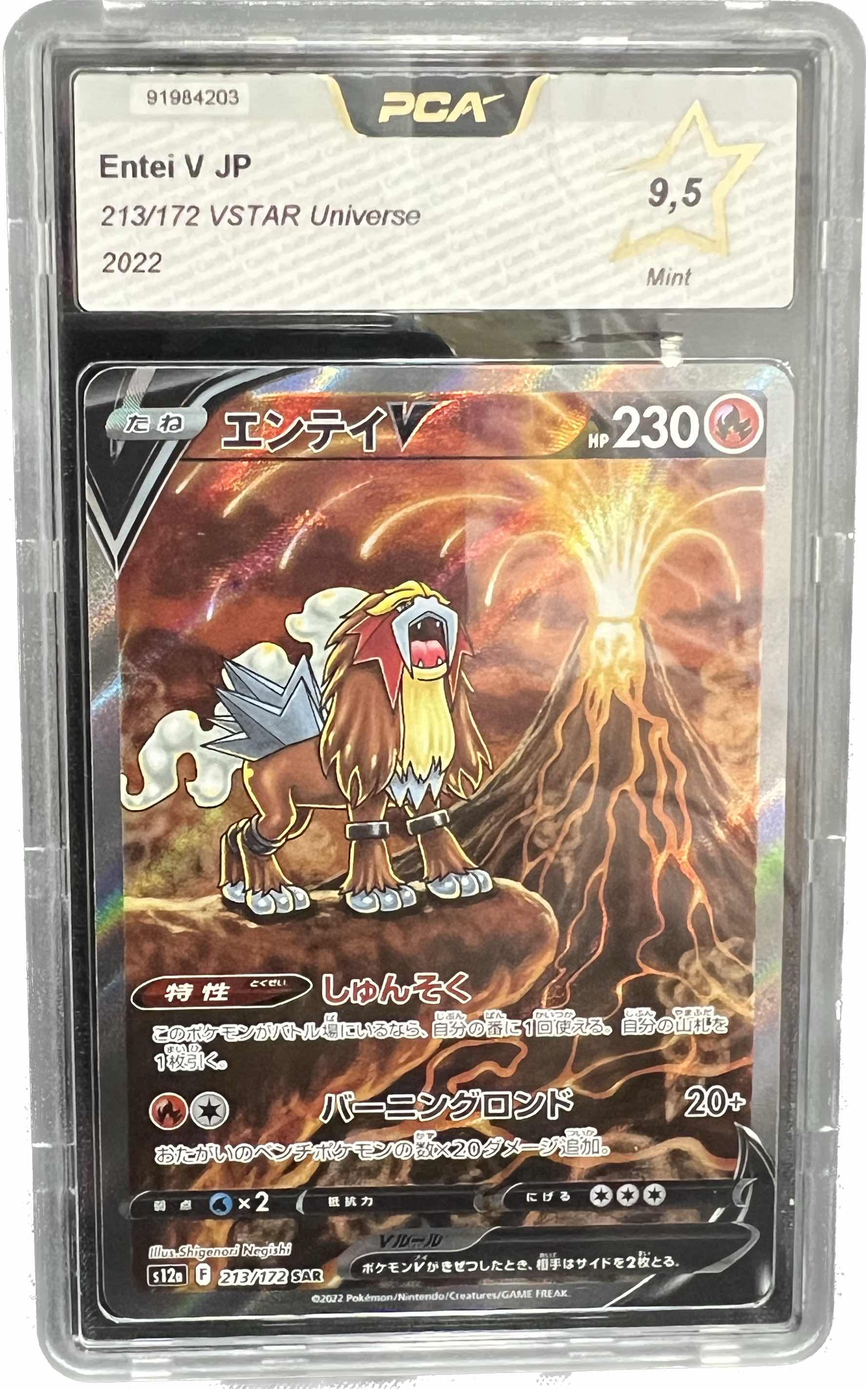 [GRADE] [PCA 9,5] 213/172 Entei V