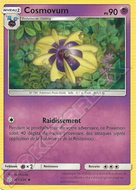 101/236 Cosmovum
