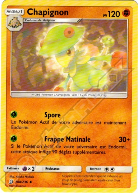 108/236 Chapignon