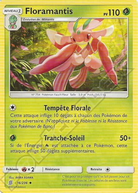 016/236 Floramantis