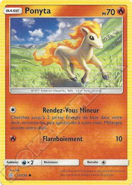 023/236 Ponyta