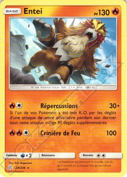 028/236 Entei