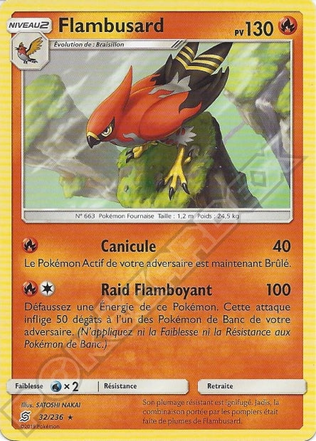 032/236 Flambusard