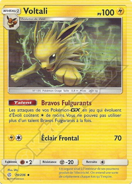 070/236 Voltali