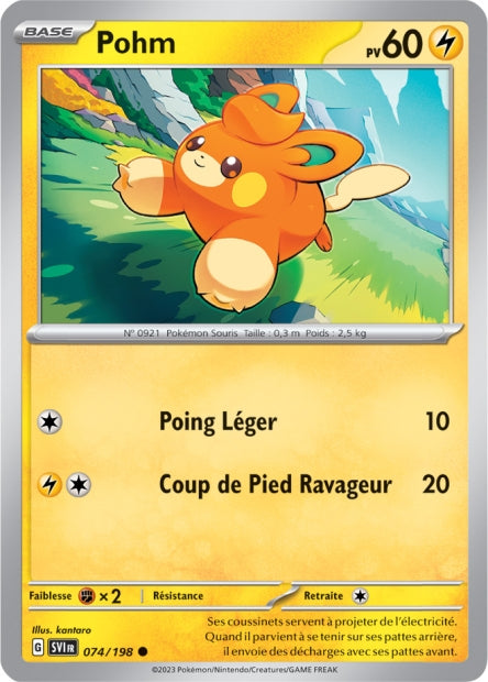 074/198 Pohm