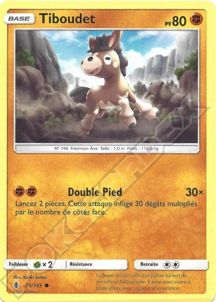 075/145 Tiboudet