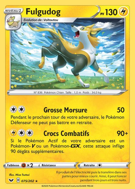 075/202 Fulgudog
