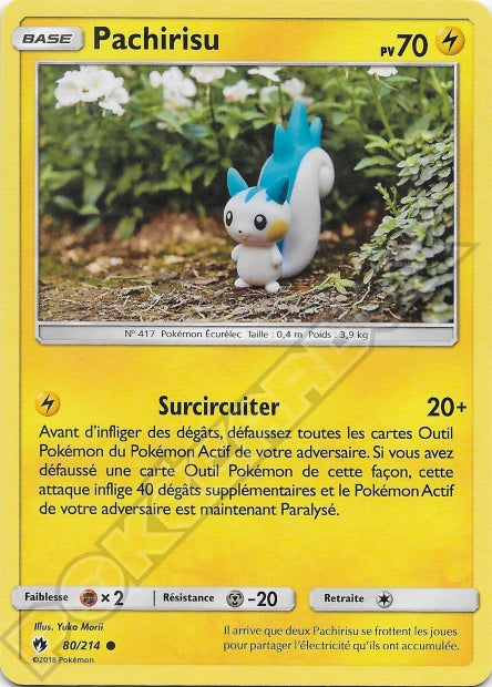 080/214 Pachirisu
